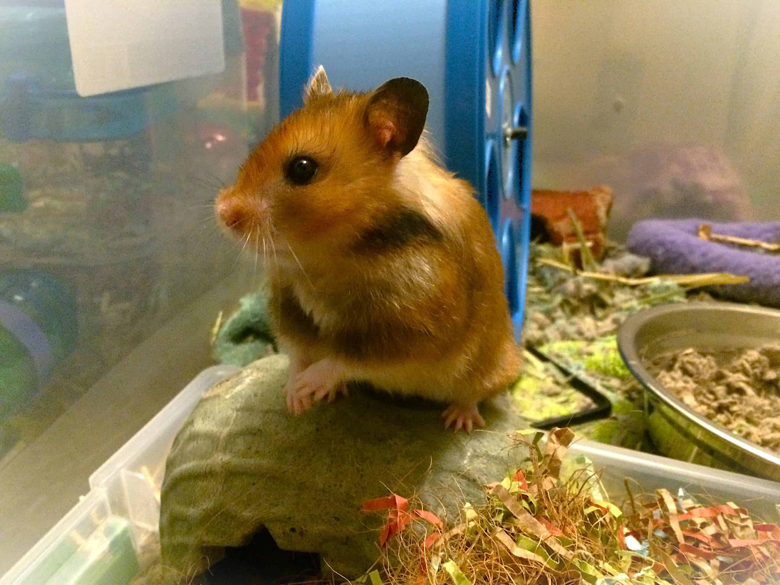 “小不点”和我的故事